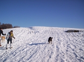 Escursione al Monte San Primo dalla Colma di Sormano il 26 febbraio 2011 - FOTOGALLERY